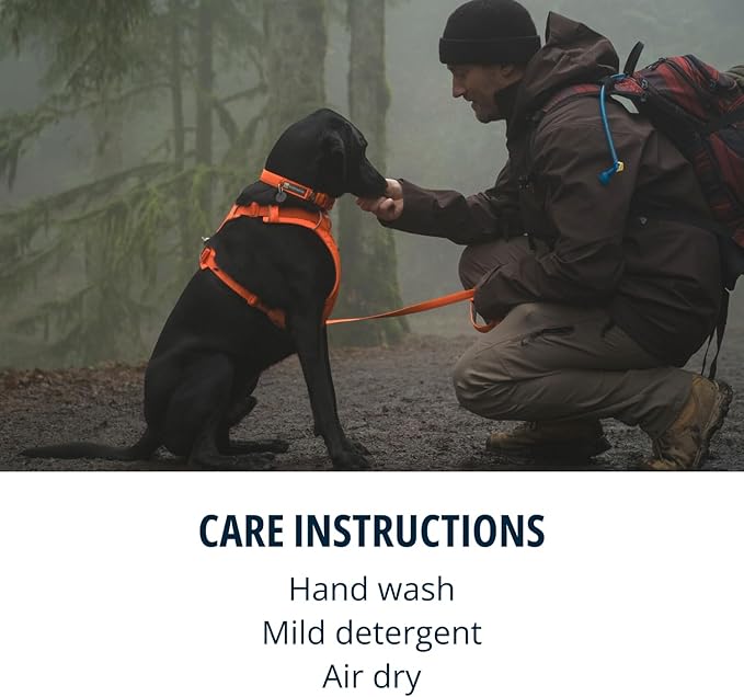 Ruffwear, Front Range Dog Harness, Reflective Soft Padded Everyday Harness with Dual Leash Clips, Adjustable and Lightweight Fit for Training or Walking for All Dogs, Blaze Orange, Large/X-Large