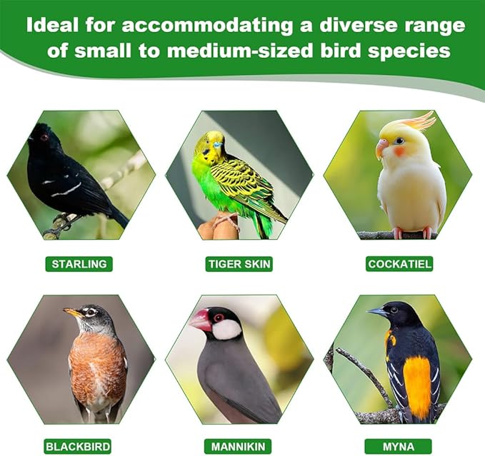 Automatic Bird Cage Water Dispenser - Cactus No-Spill Feeder for Parakeet, Cockatiel, Budgie & Small Birds