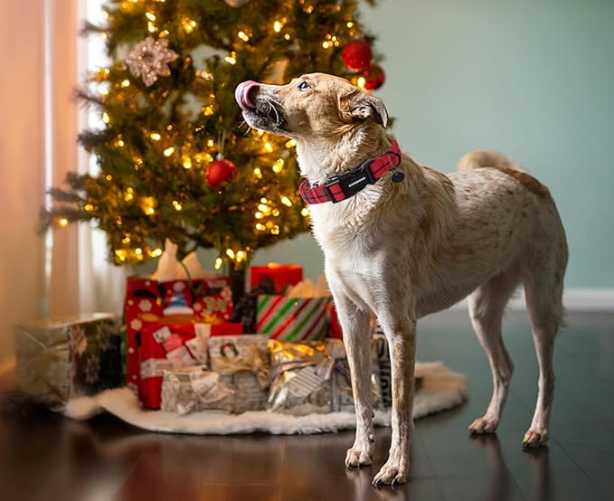 DOGWONG Christmas Cotton Dog Collar, Heavy-Duty Red Plaid Dog Collar Durable Soft Fabric Pet Dog Collars Cute Christmas Red Grid Puppy Necklace for Small Medium Large Dogs,XL