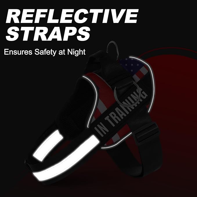 Essential Dog Harness with 3 Leash Clips - No-Pull, Adjustable, Comfortable Pet Vest Harness for Small to Large Dogs - Easy On, No Choke, Reflective, Padded Harness for Walking and Training