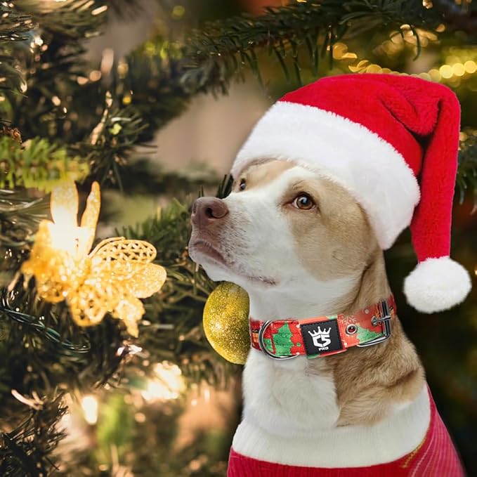 TSPRO Tactical Dog Collar 1.25 Inch Wide Thick Dog Collars with Heavy Duty Metal Buckle, Durable, Strong, Adjustable for Small Dogs (Christmas Red S)