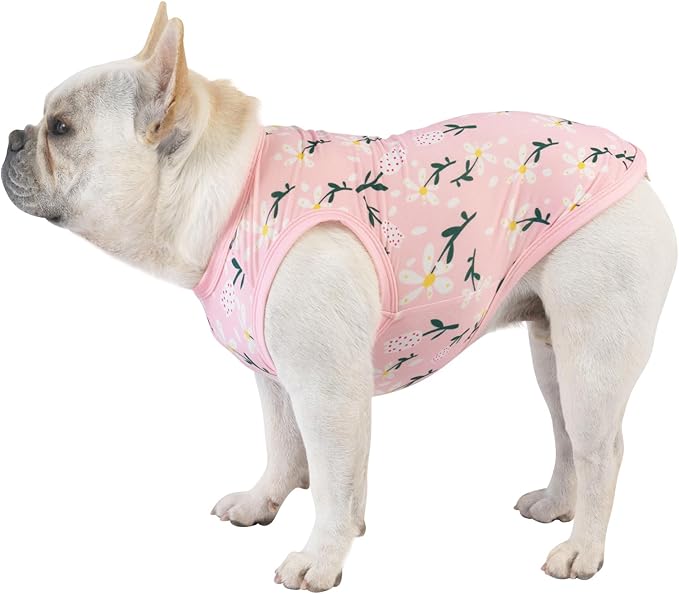 CuteBone Dog Shirts 2-Pack Soft Pet Clothes Breathable Summer Vest for Small Puppy and Stretchy Cat Apparel 2BX06M