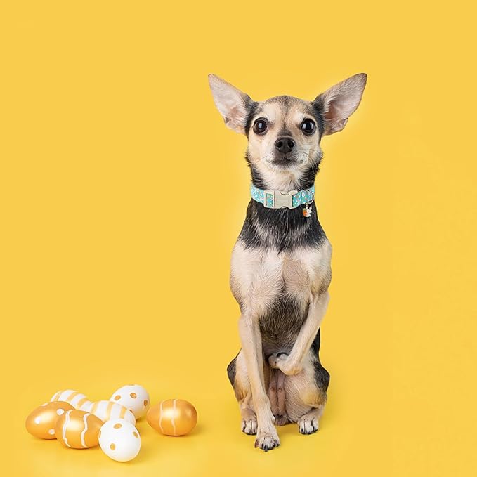 DOGWONG Easter Dog Collar, Cute Bunny Carrot Print Dog Collars Adjustable Easter Day Puppy Heart Dog Collar for Small Medium Large Dogs S