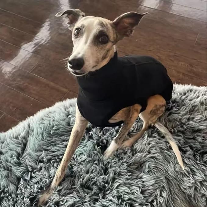 Sweatshirt for Vizsla/Weimaraner/Poodle/Dalmatian/German Dog, Reflective Sleeveless Warm Cotton Clothes for Big Dogs (Black, XX-Large(Chest 29'', Back 24.5''))