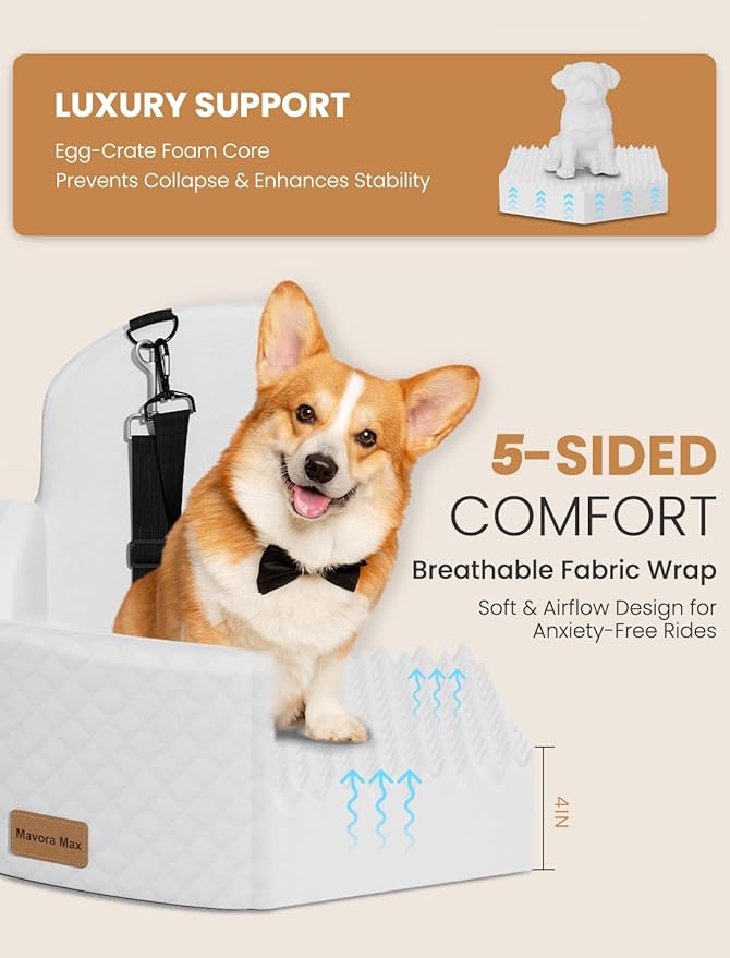 (Up to 35lbs Small/Medium Dog Car Seat Booster Dog Seat for Car Portable with Adjustable Seatbelts Pet Travel Car Bed Seat for SUV, Truck, with Memory Foam Cushion (White)