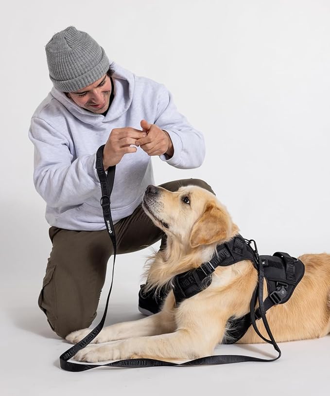 2025 New Edition, Fei & Eve MagEase Dog Harness - 3-Second Magnetic Buckles | 3-Point No-Pull Control | Heavy-Duty 900D Nylon | Dual Safety Handles | Breathable Mesh | Adjustable Fit | Medium,Black