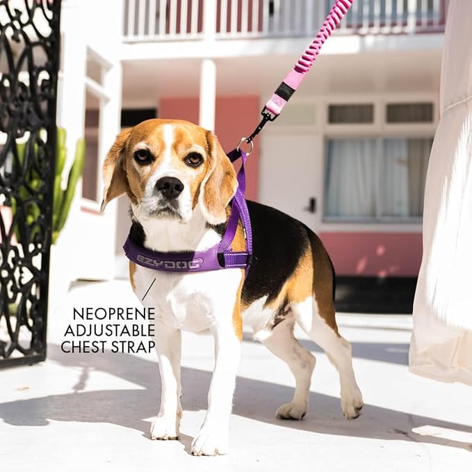 EzyDog Quick Fit Dog Harness – No Pull Harness for Training, Everyday Walking, and Easy Control - Adjustable Fit, Reflective, and Padded (X-Large, Gray)