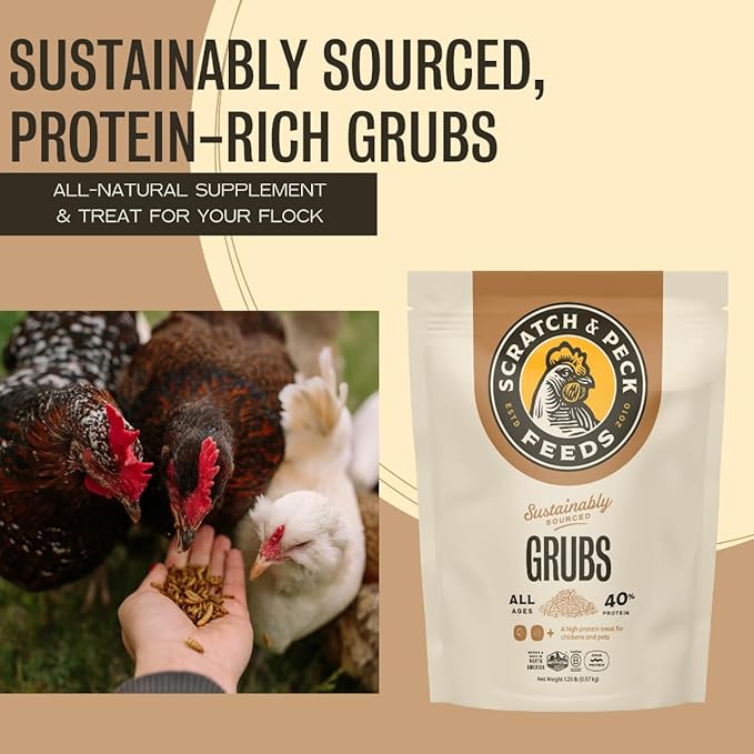Scratch and Peck Grubs for Chickens and Ducks - 20 oz Bag - Sustainably Sourced - Naturally High Protein, Calcium Dense - Dried Black Soldier Fly Larvae Bird Treats