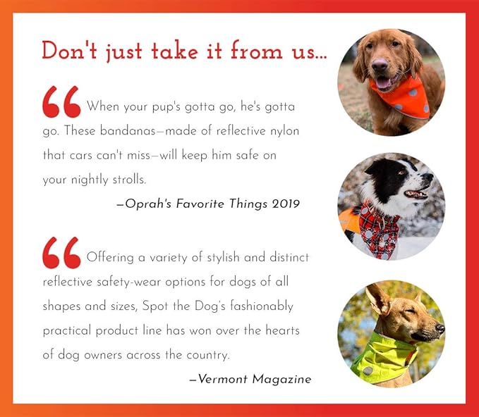 SPOT THE DOG! Reflective Dog Collar - Adjustable Pet Collars, Safe, Durable, Comfortable Dog Walking Accessories for Large Dog, Hunting Dog, Puppy, Lightweight Boy, Girl Dog Collars (Blaze Orange, XL)