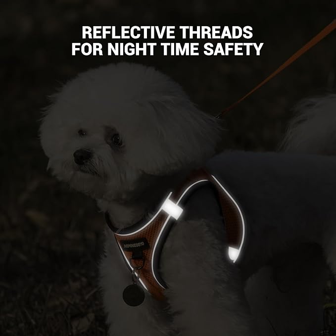 Dog Harness and Leash Set, Dog Harness for Dogs No Pull, No-Chock Step-in Reflective Breathable Lightweight Easy Walk Vest Harnesses with Safety Buckle for Small Medium Dogs, Cats (Orange, M)