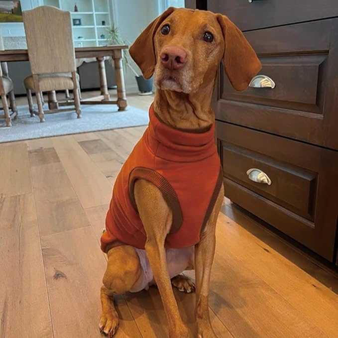 Sweatshirt for Vizsla/Weimaraner/Poodle/Dalmatian/German Dog, Reflective Sleeveless Warm Cotton Clothes for Big Dogs (Orange, Large(Chest 25'',Back 21.5''))