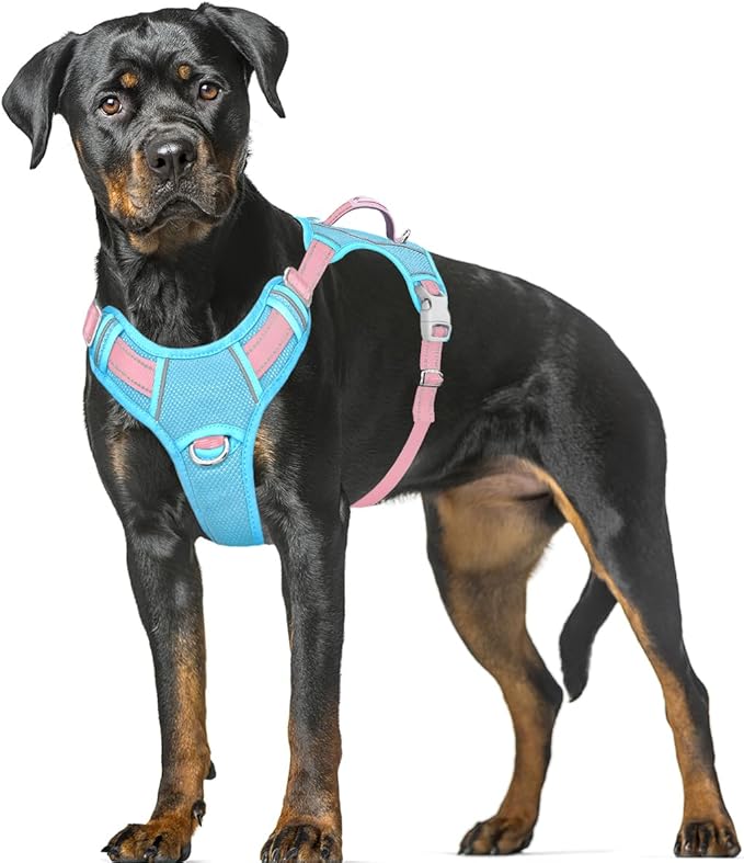 BARKBAY No Pull Dog Harness Large Reflective Dog Harness with Front Clip and Easy Control Handle for Walking Training Running with ID tag Pocket(Baby Blue & Baby Pink,XL)