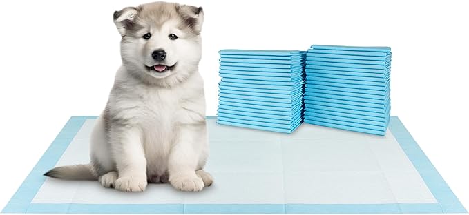 BV XXL Puppy Pads 20 Count 30" x 36" - Leak-Proof Pee Pads for Dogs with 6-Layer Design, Rapid Dry Sheet & Attractant - Dog Pad Extra Large with Odor Control - Perfect for Big Dogs & Indoor Use