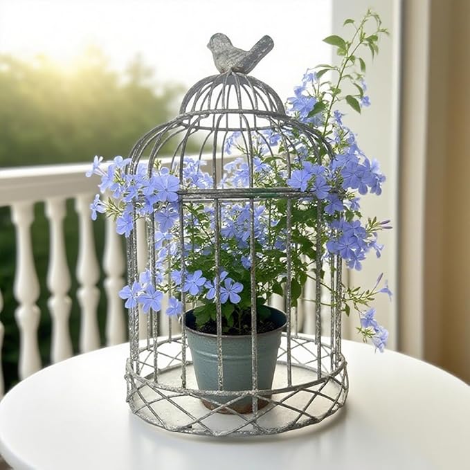 Rustic Vintage Birdcage Planter Holder Farmhouse Distressed Decor Metal Iron Round Plants Stand with Latch Lock Closure for Wedding Garden Patio Indoor Outdoor Home Table Centerpiece Decorations