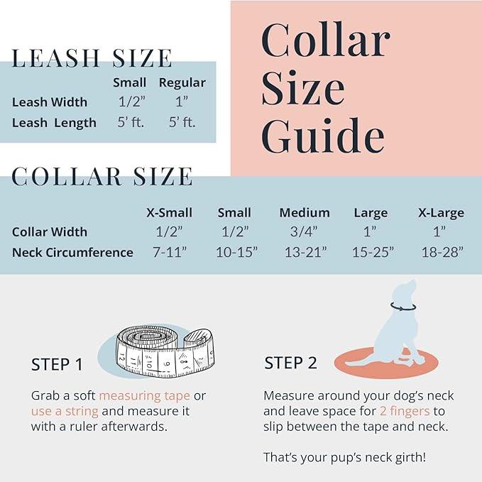 Lucky Love Dog - Easy Click Buckle Dog Collar with Leash Set Combo, Durable & Comfortable for Male & Female Dogs, Pet Collar for Small to Large Dogs, Secure Fit - Sweet Berry Combo, XS