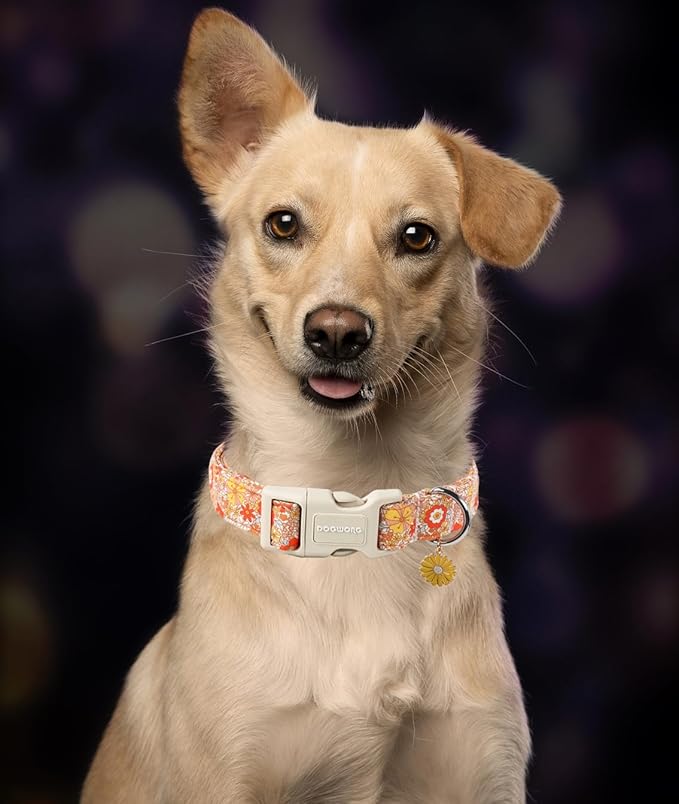 DOGWONG Fall Flower Dog Collar- Cute Flower Dog Collars Adjustable Floral Dog Collar for Girl Female Small Medium Large Dogs M