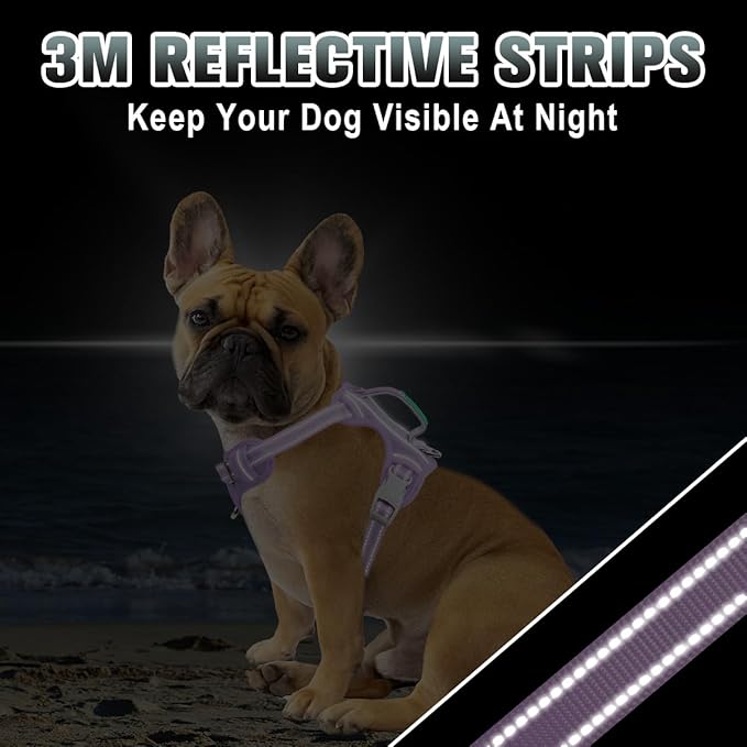 BARKBAY No Pull Dog Harness Large Reflective Dog Harness with Front Clip and Easy Control Handle for Walking Training Running with ID tag Pocket(Violet Purple,XS)