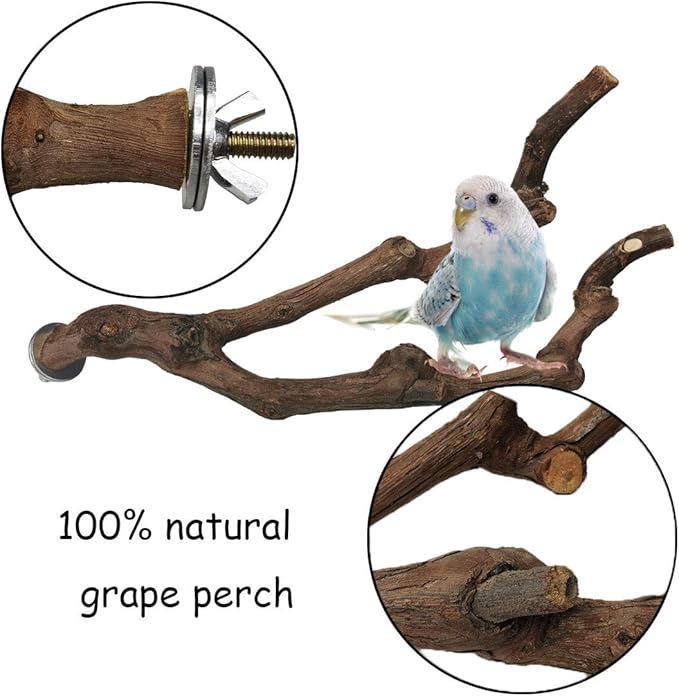 kathson Natural Parrot Perch Bird Stand Pole Wild Grape Stick Paw Grinding Fork Parakeet Climbing Standing Branches Toy Chewable Cage Accessories for Small Budgies Cockatiels Lovebirds 3PCS