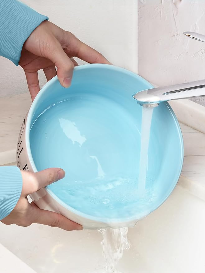 27OZ Ceramic Dog Bowl - 6 Inch Small Food Water Bowl, Heavy Duty Non-Slip Dog Dish for Medium Dogs, Food Grade Porcelain Pet Feeder Bowls, Microwave & Dishwasher Safe, Blue