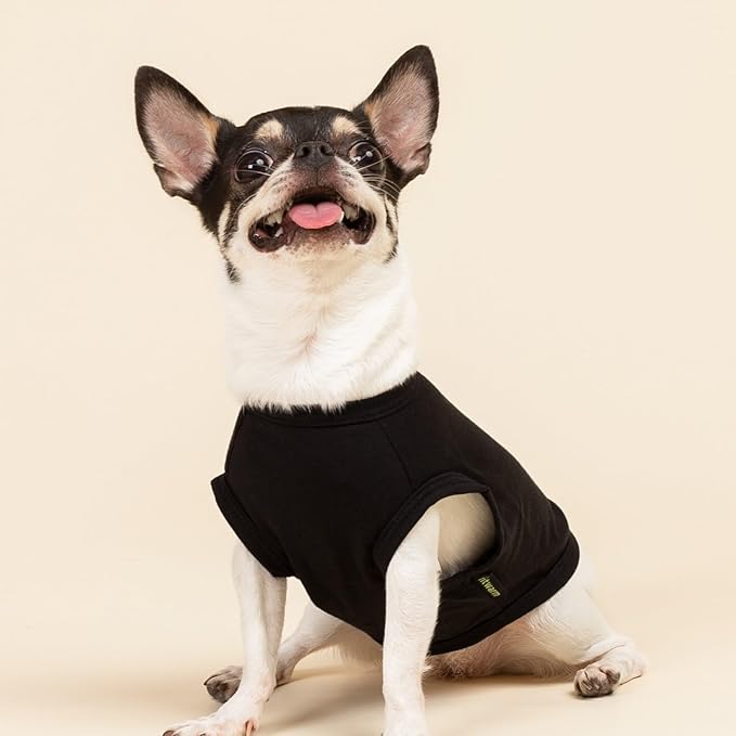 Fitwarm Happy St Patricks Day Dog Clothes, Summer Dog Clothes for Small Dogs Boy Girl, Funny Dog Tshirt, Lightweight Breathable Cotton, Pet Cat Outfit, Black, Green, Large