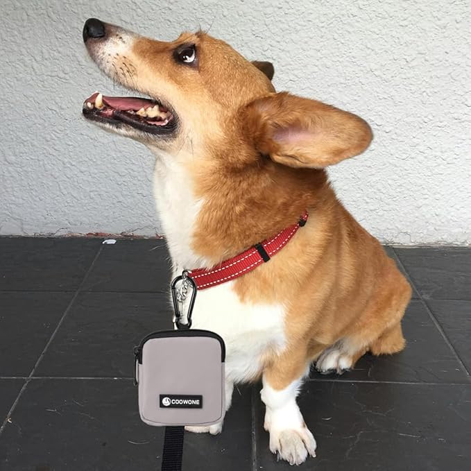 COOWONE Dog Treat Pouch Pocket Sized Pet Puppy Training Pouch for Dog Training Behavior Aids, Waterproof Nylon Fabric Dog Poop Bag Holder, Hands Free Dog Walking Bag with Metal Carabiner (Grey)