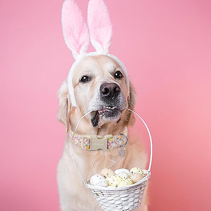 DOGWONG Easter Dog Collar, Cute Egg Bunny Dog Collars, Adjustable Easter Pet Collars Design Dog Collar with Quick Release Buckle for Small Dogs