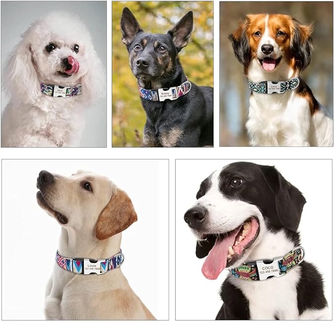 Moonpet Personalized Custom Customized Dog Collar with Engraved ID Tag Dog Name and Phone Number/Heavy Duty Adjustable Dog Collars for Puppy X-Small Small Medium Large X-Large Boy Girl Dogs
