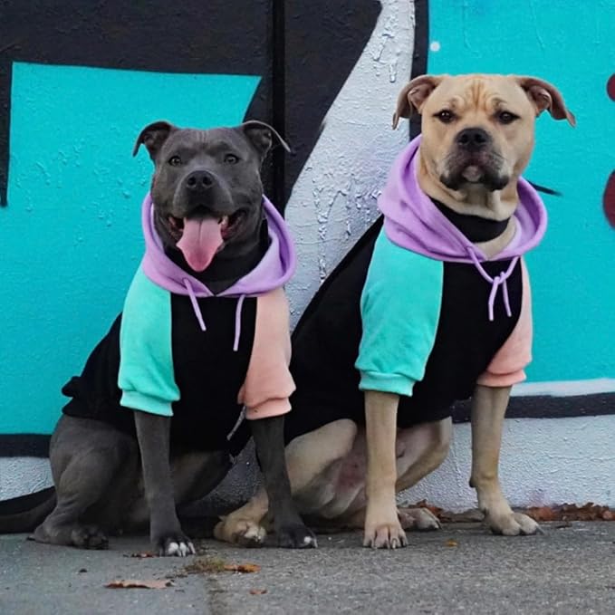 Spark Paws Dog Hoodie – Premium Dog Sweater for Small, Medium, and Large Dogs | Warm Outfits for French Bulldogs, Pitbull, Puppy, Winter Jacket Alternative - Cyber Punk - M