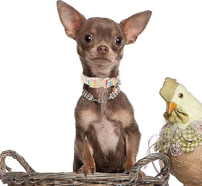 DOGWONG Easter Dog Collar- Cute Coloful Egg Dog Collars Adjustable Designer Easter Day Puppy Heart Dog Collar for Small Medium Large Dogs S