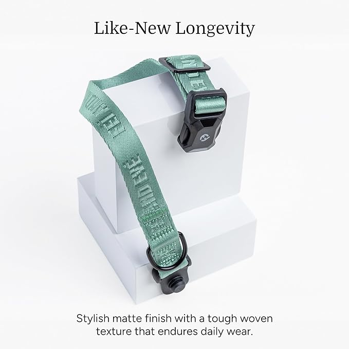 2025 New Edition, Fei & Eve MagEase Dog Collar - Patented Magnetic Buckles | Fur-Safe | Premium 210D Nylon | 450LB Escape-Proof | Adjustable Fit | Small (Glacier Green)