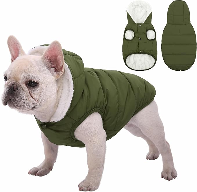 Fleece Hoodie, Windproof Waterproof Coat, Winter Warm Jacket, Cold Weather Pet Apparel Clothes Vest for Small Medium Large Dogs (XXL, Green)