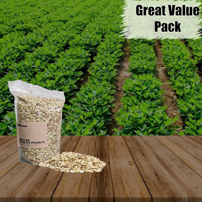 Old Potters Wildlife Shelled Peanuts, 5 lbs for Birds, Squirrels and Wildlife. USA Grown Non-GMO Raw Shelled Peanuts. Wildlife Grade, Not for Human Consumption.