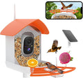 Bird Feeder with Camera,AI Identify Birds Species,Smart Birds Camera with Solar Powered,Auto Record FHD Feather Visitor Video in Backyard,Garden,Instant Notifications,Ideal Gifts for Family,Orange
