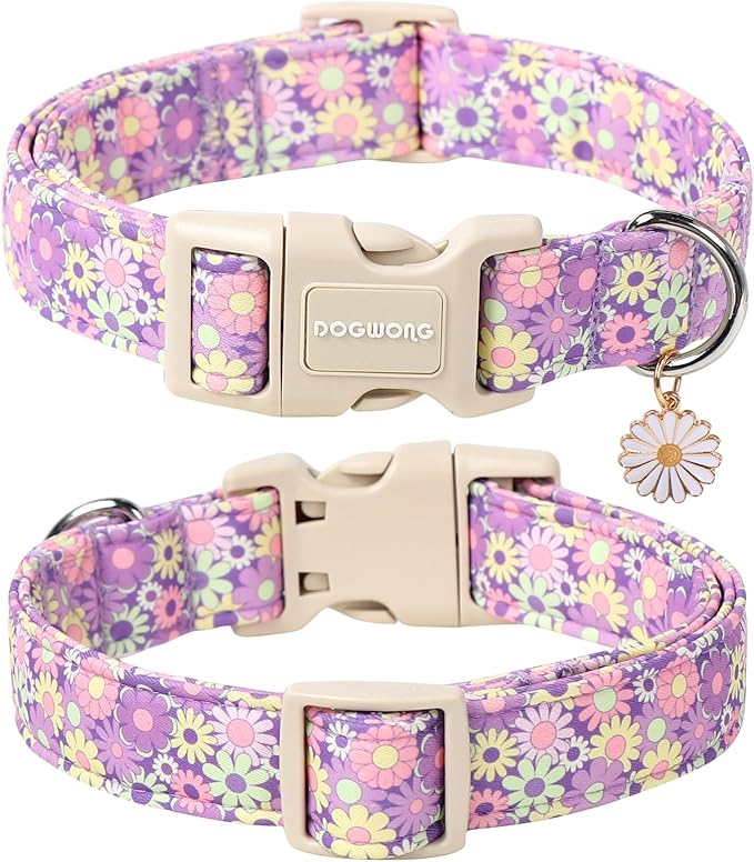 DOGWONG Flower Dog Collar, Girl Daisy Dog Collar Durable Ice Cream Pet Dog Collars Cute Summer Beach Puppy Necklace for Small Medium Large Dogs