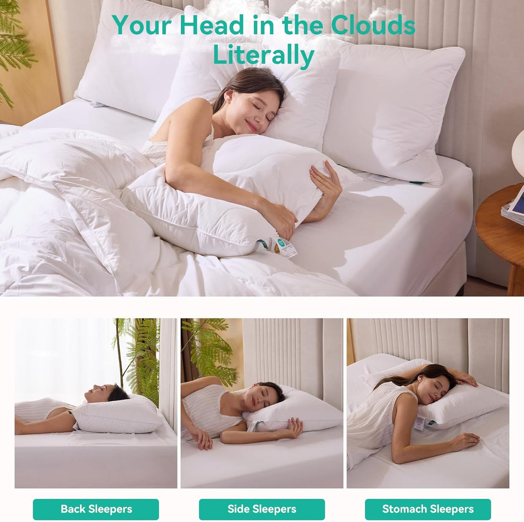 Three Geese White Goose Feather Down Pillows King Size Set of 1-100% Cotton, Medium Firm,Soft Support