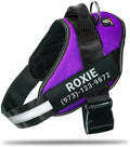 Personalized No-Pull Dog Harness with Name Patch, Adjustable, Reflective, Padded, Heavy Duty Pet Vest to Prevent Tugging, Pulling, or Choking, Training and Walking, Purple, 2XL