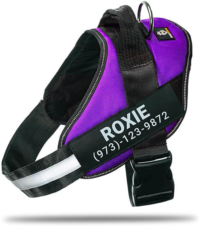 Personalized No-Pull Dog Harness with Name Patch, Adjustable, Reflective, Padded, Heavy Duty Pet Vest to Prevent Tugging, Pulling, or Choking, Training and Walking, Purple, XL