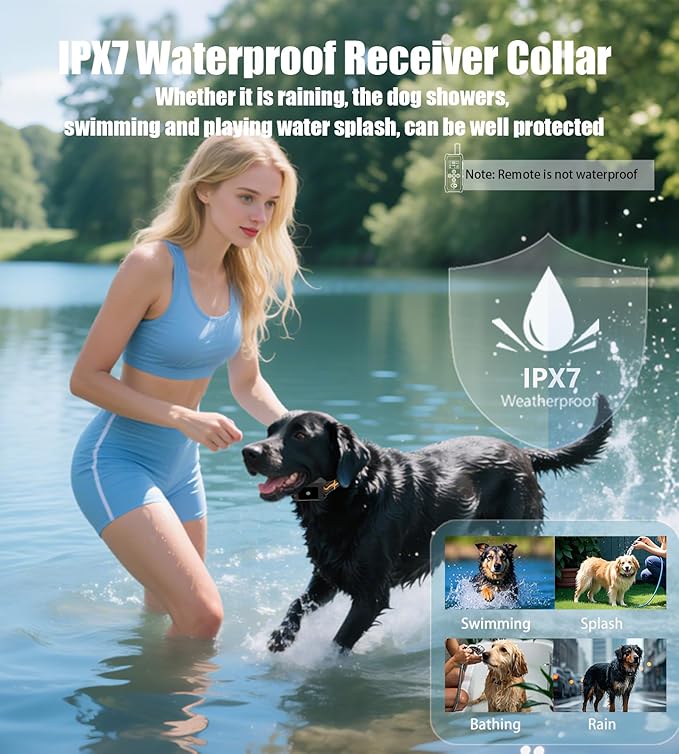 Dog Training Collar with Remote 4200FT 2 Dogs - Shock Collar for Barking Control, 4 Modes(Beep/Vibe/Static), IPX7 Waterproof for Swimming, 30-Day Rechargeable Battery, Adjustable for Small to XL Dogs