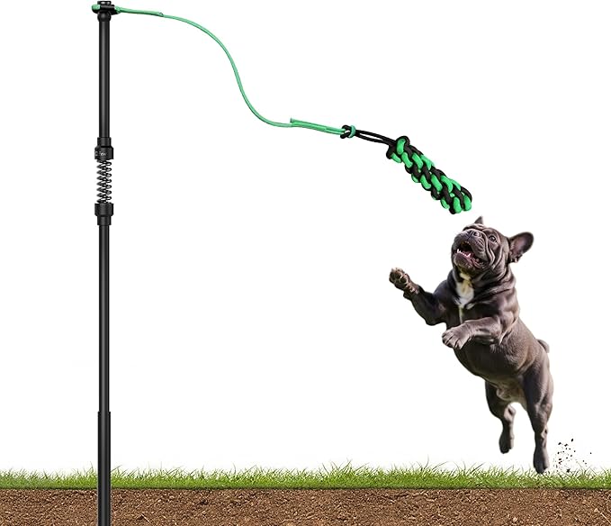 FXW TugPal Flex Outdoor Tug of War Toy for Dog,Interactive Exercise Game with Spring-Top Rod for Yard,39 inch for Small Dogs up to 20 lbs| Safe Design & Rustproof Base,│Patent Pending