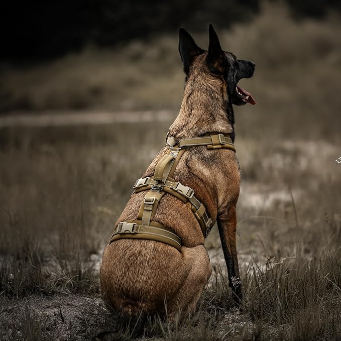 OneTigris Dog Harness No Pull, Adjustable Tactical Harness with Soft Padding, Y-Shaped Reflective Easy Walk Dog Harness for Medium and Large Dogs