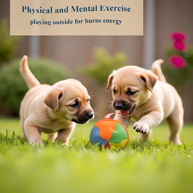 Dog Chase & Treat Ball, Snuffle Ball for Dogs, Interactive Dog Toy for All Breeds Size with Storage Bag, Enrichment Toys for Mental Stimulation