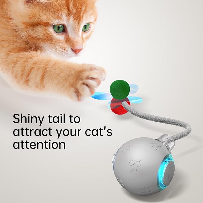 Interactive Cat Toys for Indoor Cats - Kitten Toy with Speedy Tail 2.0, Automatic Cat Toys for Bored Indoor Adult Cats, Motion-Activated, 2025 New Upgraded, USB Rechargeable (Grey)