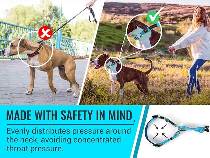 Orange Martingale Collar for Dogs - Heavy Duty Nylon Pet Collars for Escape-Free, No Pull Training & Walking with Alloy Metal Release Buckle & Reflective D Ring, One Time Adjustment, Safe & Secure, S