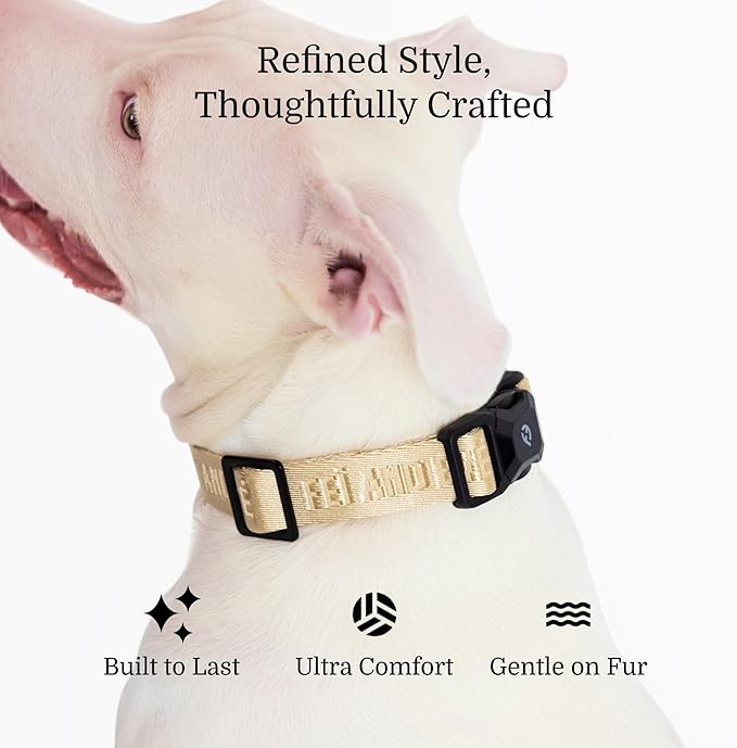 2025 New Edition, Fei & Eve MagEase Dog Collar - Patented Magnetic Buckles | Fur-Safe | Premium 210D Nylon | 450LB Escape-Proof | Adjustable Fit | Medium (Champagne)