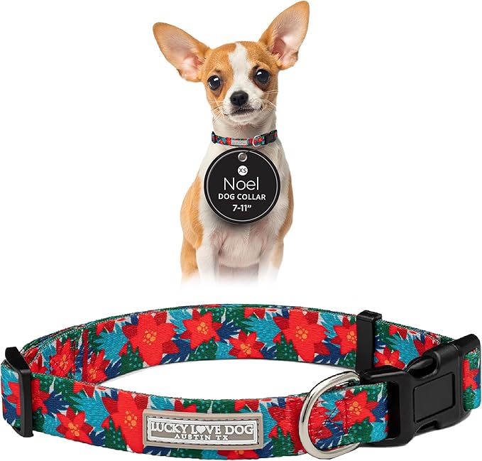 Lucky Love Dog - Adjustable Dog Collar with Easy Click Noel for Small to Large Ones, Durable, & Comfortable for Male & Female Dogs, Pet Collar for Puppies & Adult Dogs - Noel, XS