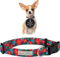 Lucky Love Dog - Adjustable Dog Collar with Easy Click Noel for Small to Large Ones, Durable, & Comfortable for Male & Female Dogs, Pet Collar for Puppies & Adult Dogs - Noel, XS