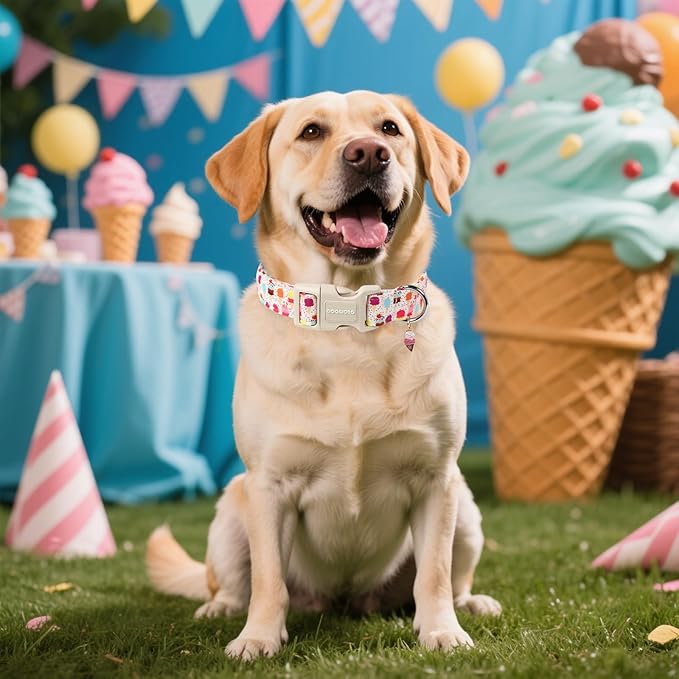 DOGWONG Summer Dog Collar, Popcile Dog Collar Durable Ice Cream Pet Dog Collars Cute Summer Beach Puppy Necklace for Small Medium Large Dogs