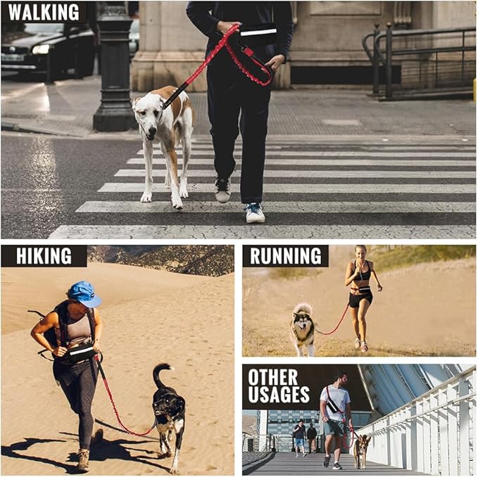 Plutus Pet Hands Free Dual Handle Retractable Bungee Leash with Reflective Stitches, Adjustable Waist Leash for Dog Walking Running Jogging, Medium Large Dogs