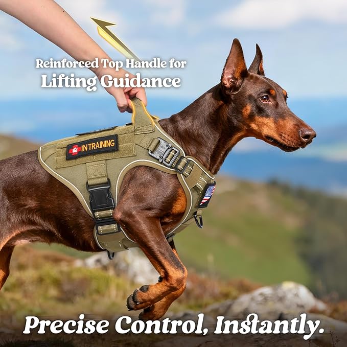 rabbitgoo Tactical Dog Harness Medium Sized, No Pull Upgraded Reflective Heavy Duty Molle Vest with Handle, Adjustable Military Service Dog Vest for Walking Hiking Training, Brown, M