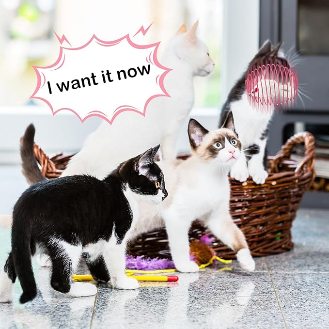 Jecery 5 Pcs Cat Spring Balls Stretchable Springs Toys Rolling Balls Colorful Playful Coils Interactive Spring Action Toy Caged Rats for Kitten Cat Pet Supplies Indoor (Mouse,Pink)